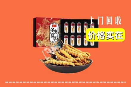 泰州高港区回收冬虫夏草